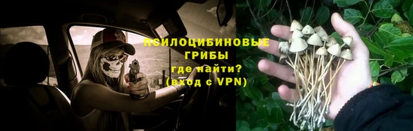 тгк Михайловка