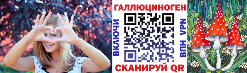 Галлюциногенные грибы Psilocybe  Норильск 